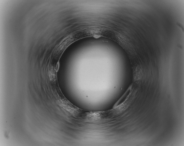 X0000101120140200806261445
