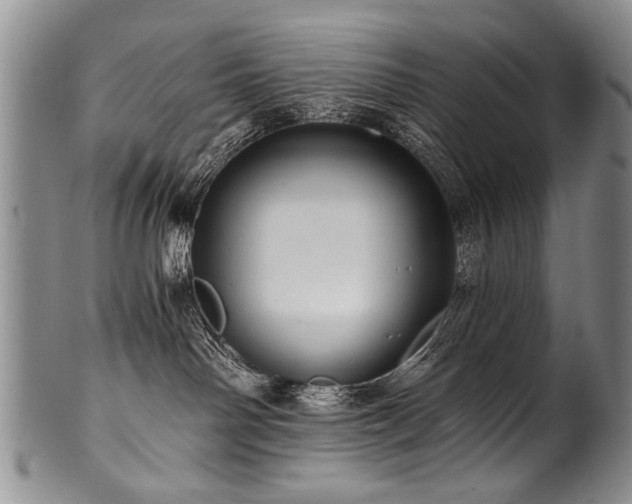 X0000101120142200806261445