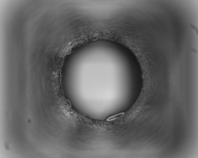 X0000101120144200806261445