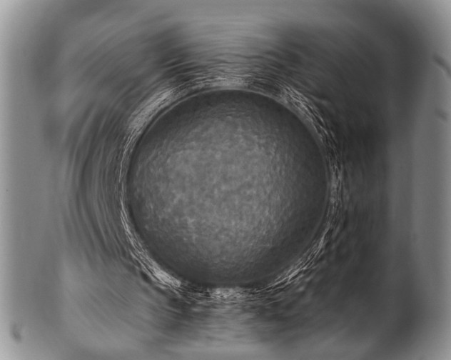 X0000101120145200806261444
