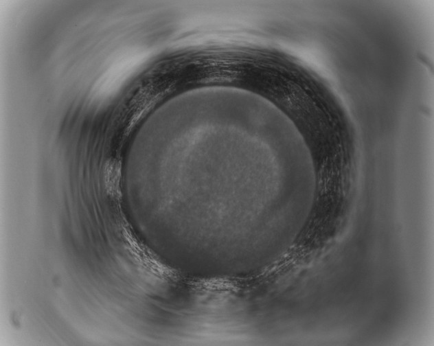X0000101120146200806261444