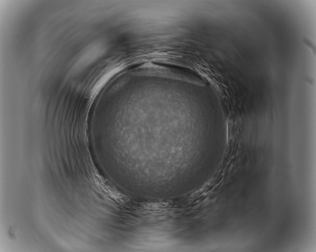 X0000101120147200806261444
