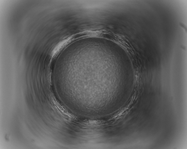 X0000101120149200806261444