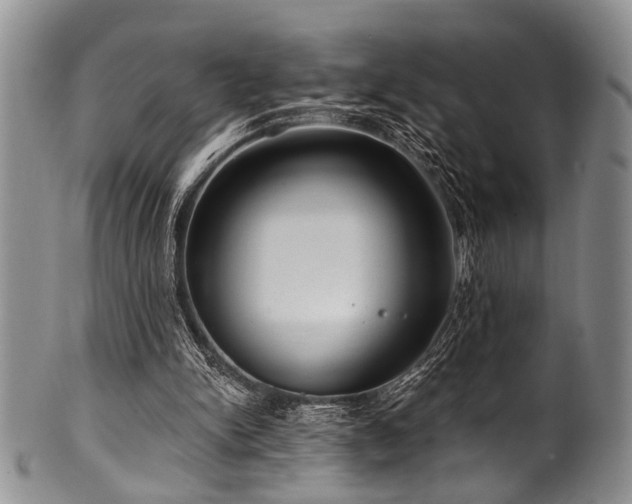 X0000101120150200806261444