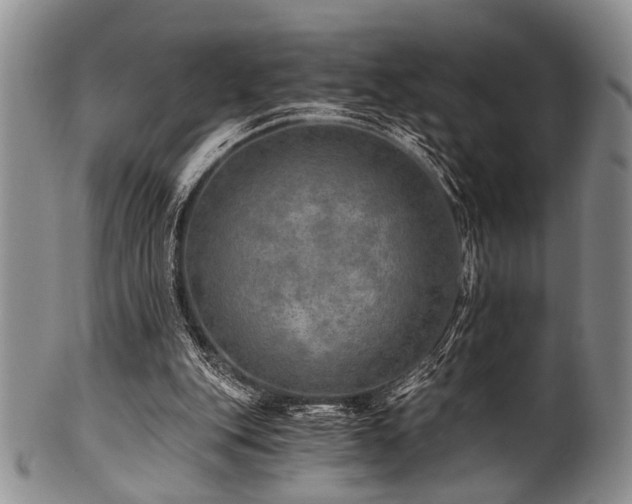 X0000101120151200806261444