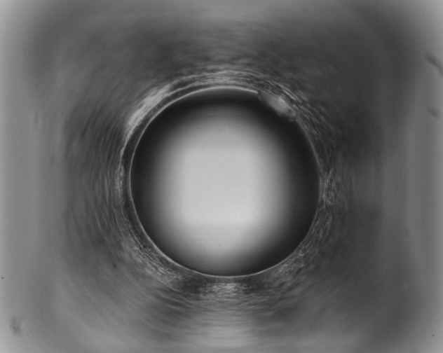 X0000101120152200806261444