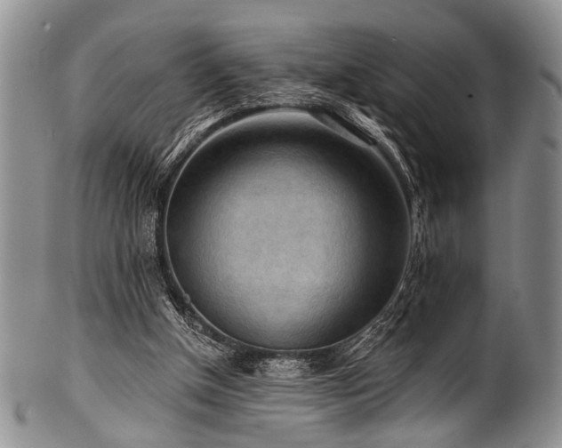 X0000101120154200806261444