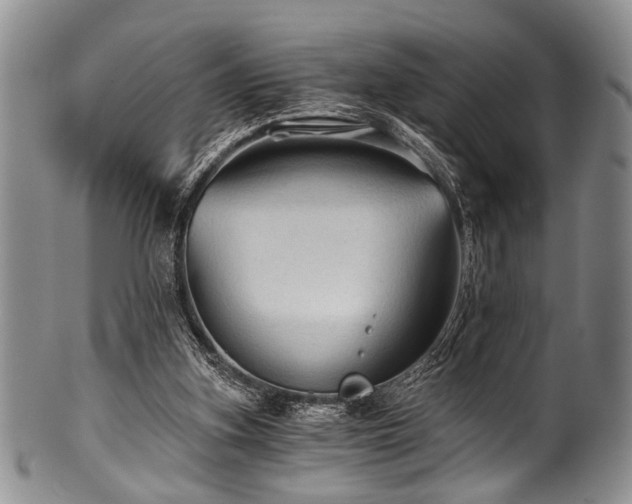 X0000101120155200806261444