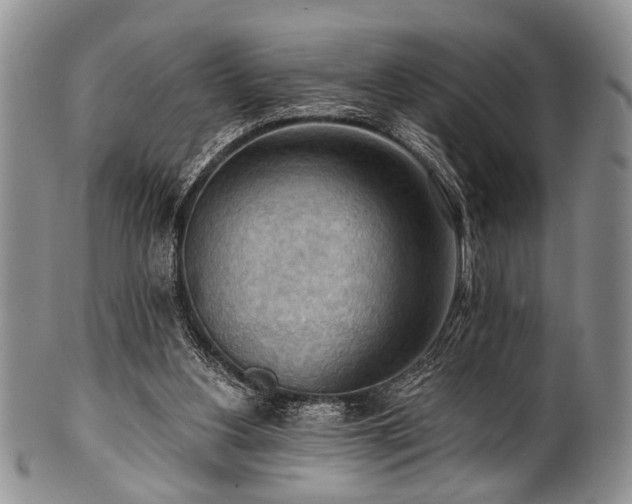 X0000101120156200806261444