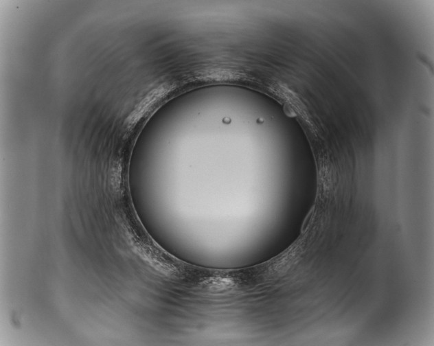 X0000101120159200806261444