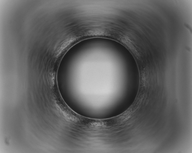X0000101120160200806261444