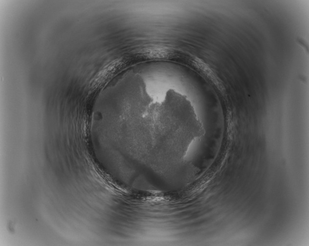 X0000101120161200806261444