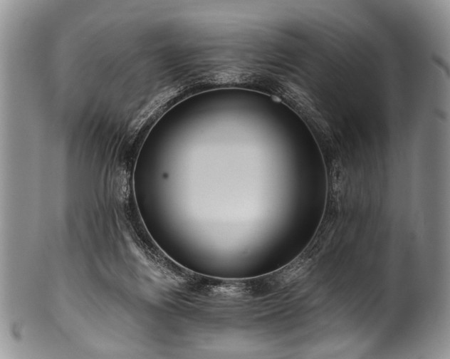 X0000101120164200806261444
