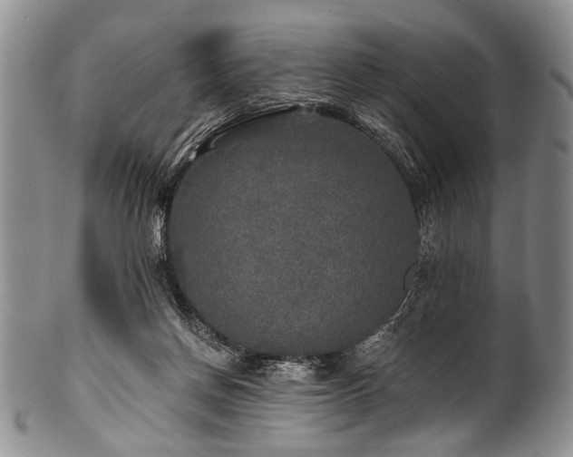 X0000101120166200806261444