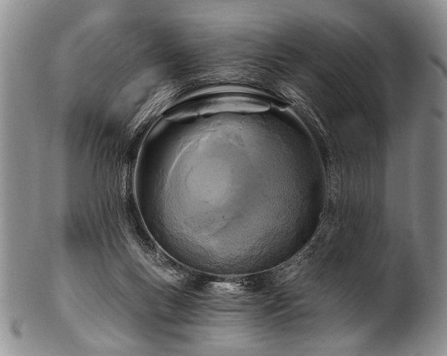 X0000101120167200806261444