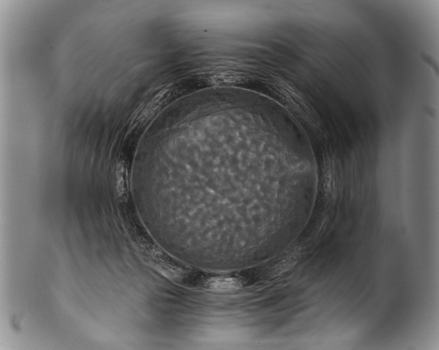 X0000101120169200806261445
