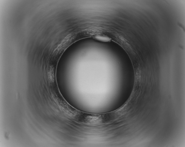 X0000101120170200806261445