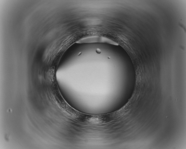 X0000101120171200806261445