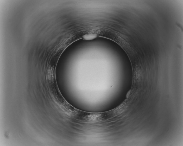X0000101120172200806261445