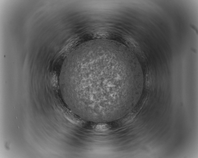 X0000101120173200806261445