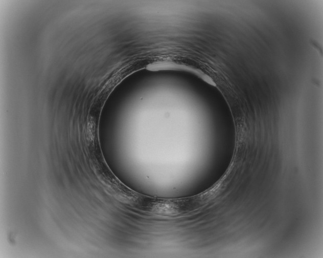 X0000101120174200806261445