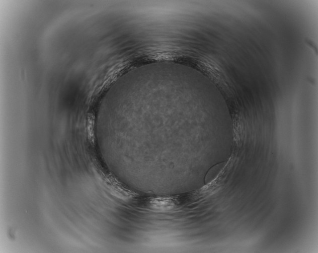 X0000101120175200806261445
