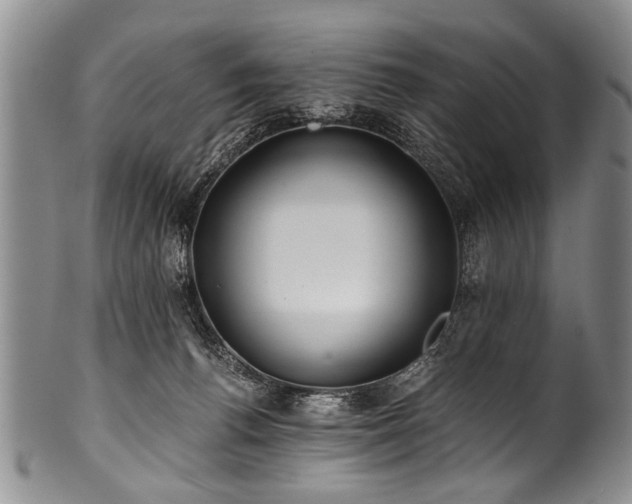 X0000101120176200806261445