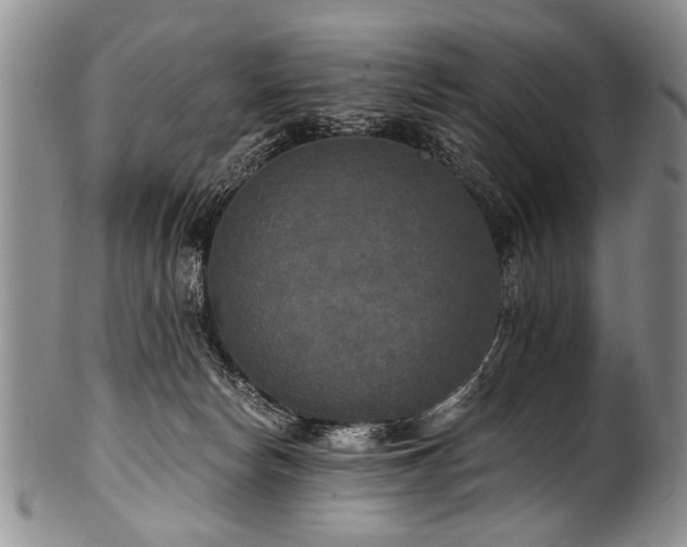 X0000101120178200806261445