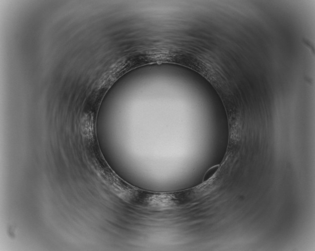 X0000101120179200806261445