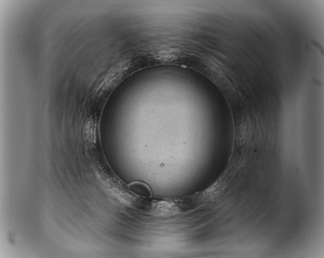 X0000101120180200806261445