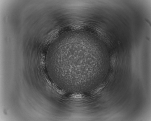 X0000101120181200806261445