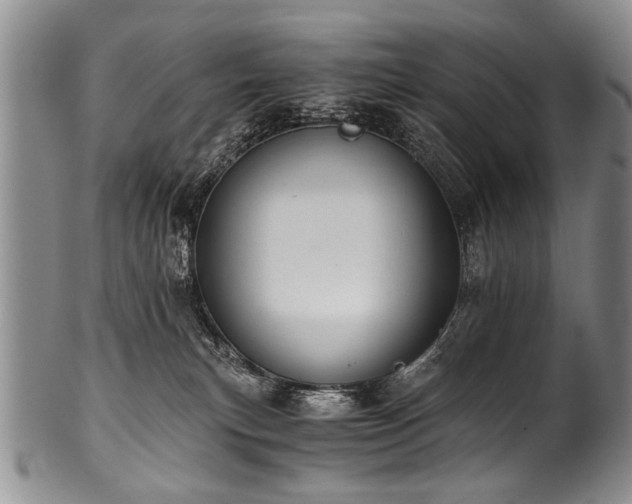X0000101120183200806261445