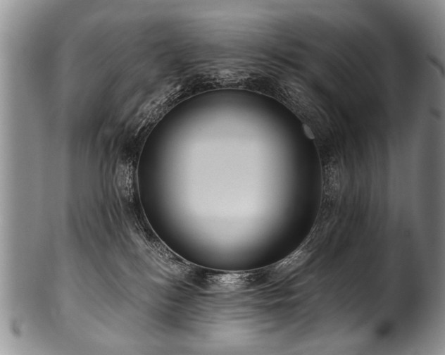 X0000101120184200806261445