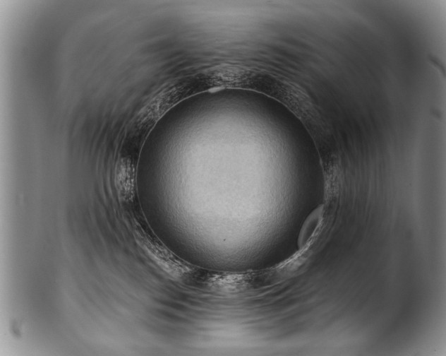 X0000101120186200806261445