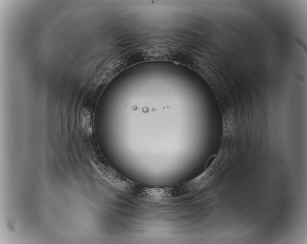 X0000101120187200806261445