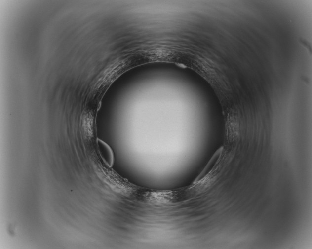 X0000101120188200806261445