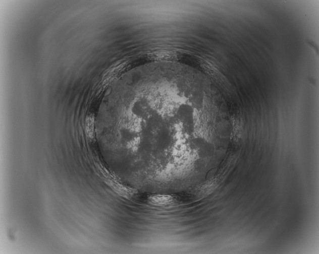 X0000101120189200806261445