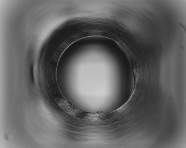X0000101120190200806261445