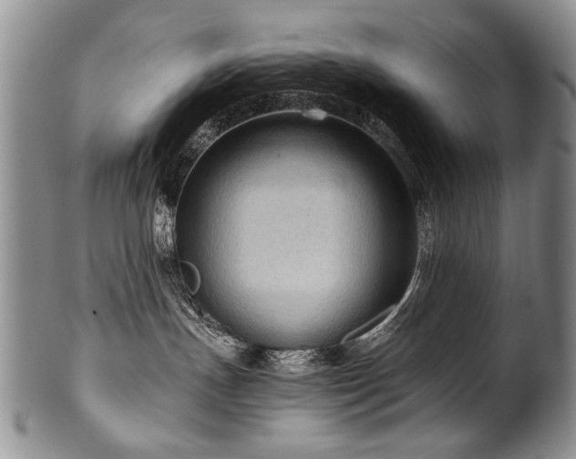 X0000101120191200806261445
