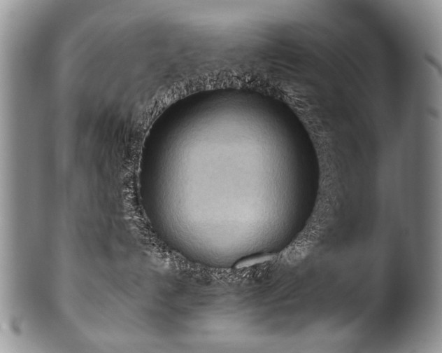 X0000101120192200806261445