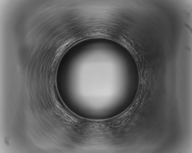 X0000101120193200806261444