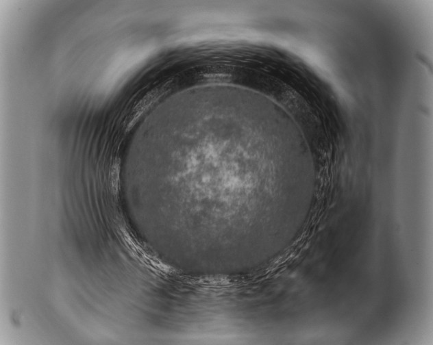 X0000101120194200806261444