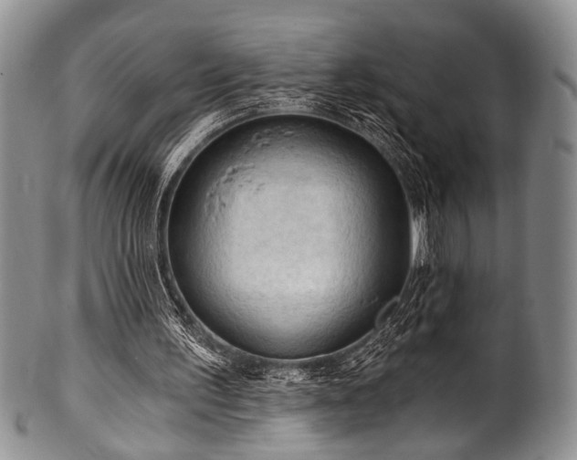 X0000101120195200806261444