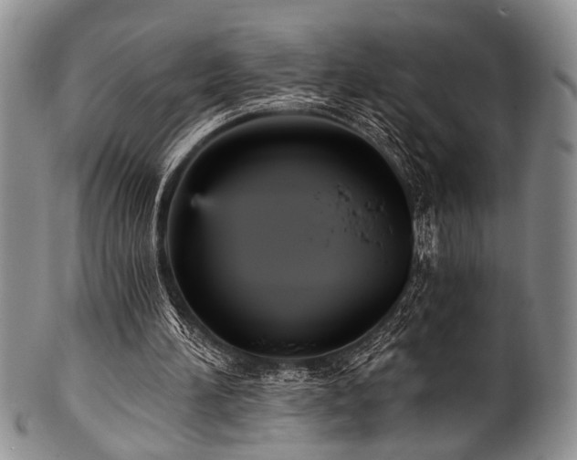 X0000101120196200806261444