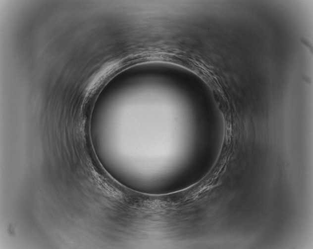 X0000101120197200806261444
