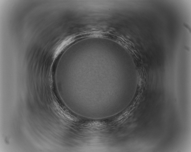 X0000101120198200806261444