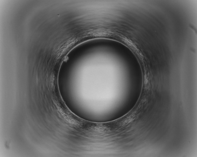X0000101120201200806261444