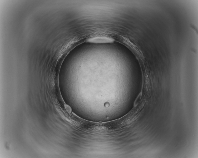 X0000101120203200806261444