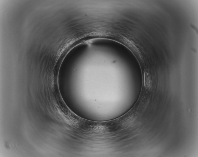 X0000101120204200806261444