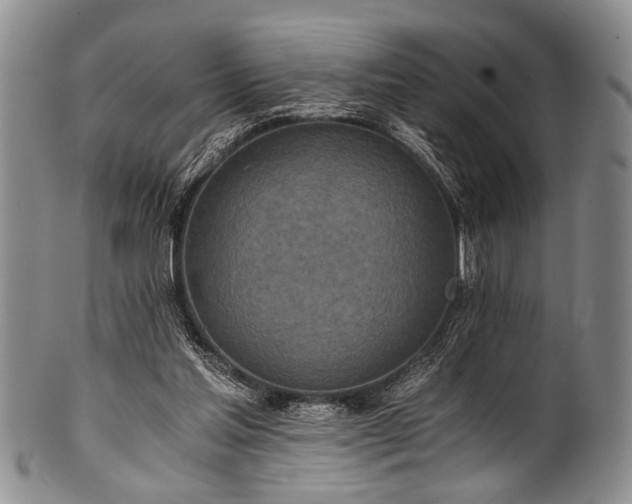 X0000101120205200806261444